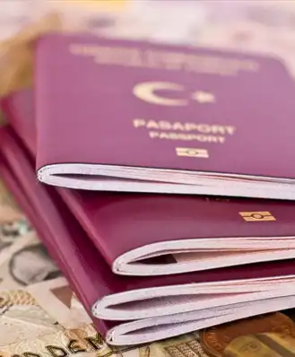 03-Passport and visa  Booking